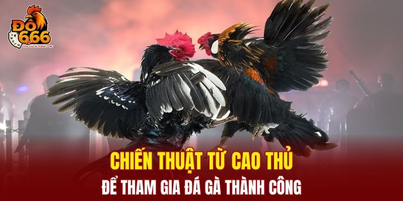 Chiến thuật từ cao thủ để tham gia đá gà thành công