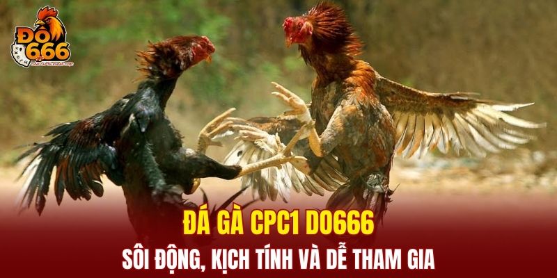 Đá Gà CPC1