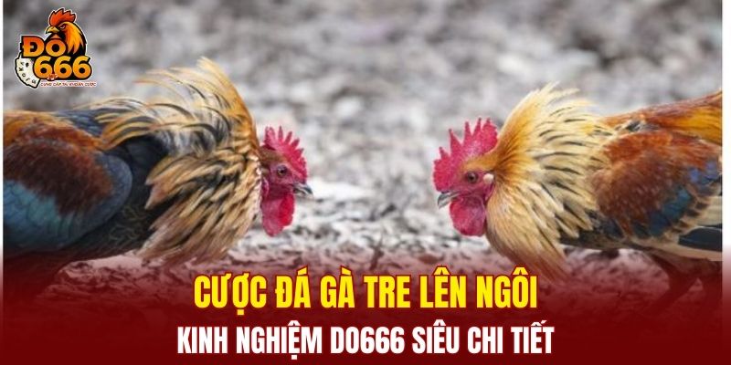 Đá Gà Tre