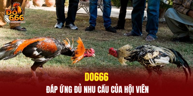 DO666 đáp ứng đủ nhu cầu của hội viên