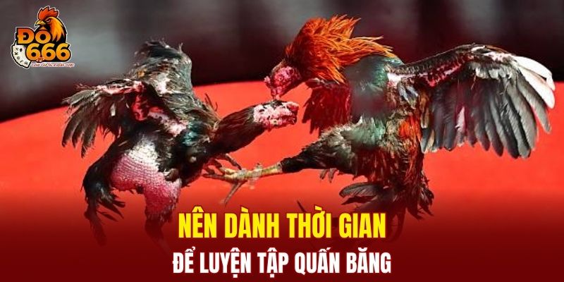 Nên dành thời gian để luyện tập quấn băng
