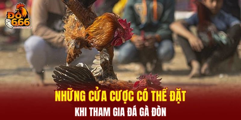 Những cửa cược có thể đặt khi tham gia đá gà đòn