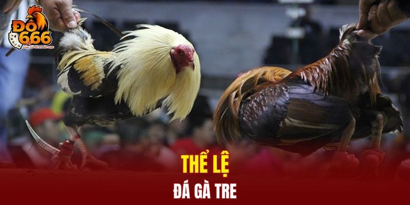 Thể lệ đá gà tre