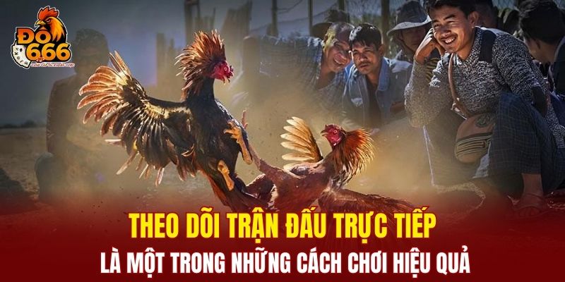 Theo dõi trận đấu trực tiếp là một trong những cách chơi hiệu quả