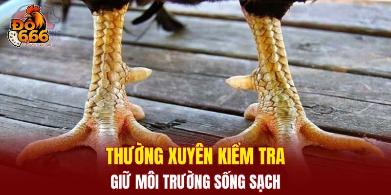 Thường xuyên kiểm tra, giữ môi trường sống sạch