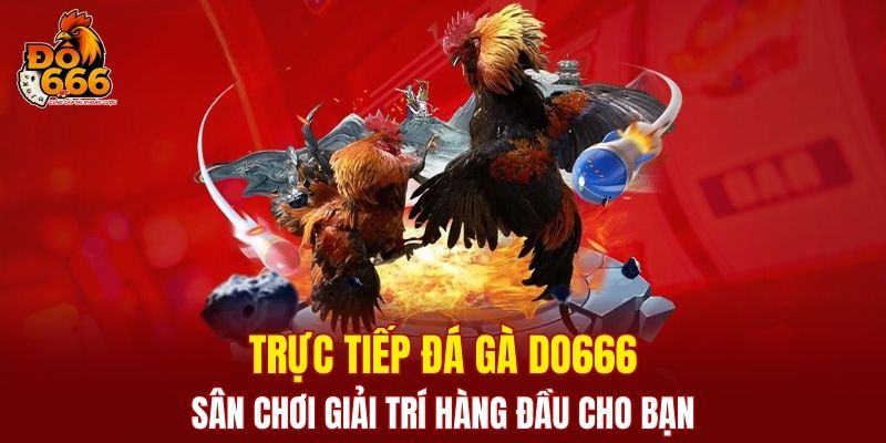 Trực Tiếp Đá Gà