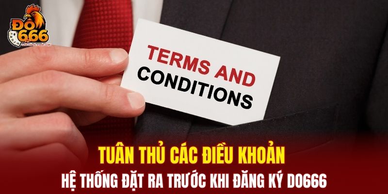 Tuân thủ các điều khoản hệ thống đặt ra trước khi đăng ký DO666