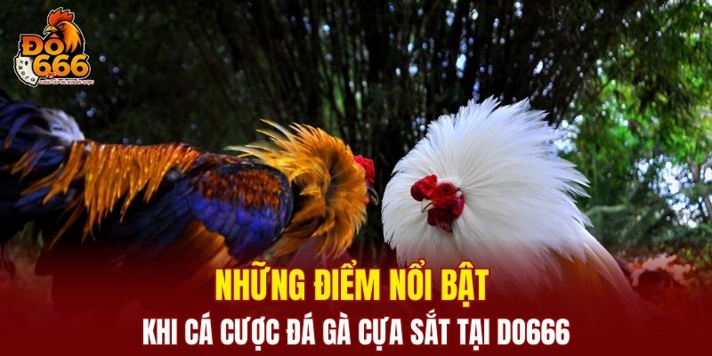 Ưu thế vượt trội khi cá cược đá gà trực tuyến tại nhà cái