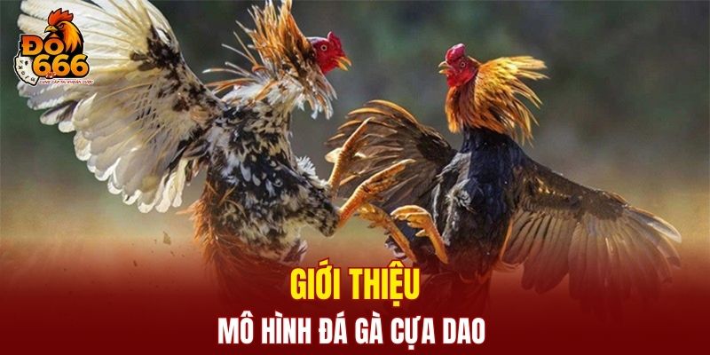 Vài nét sơ lược về mô hình đá gà cựa dao