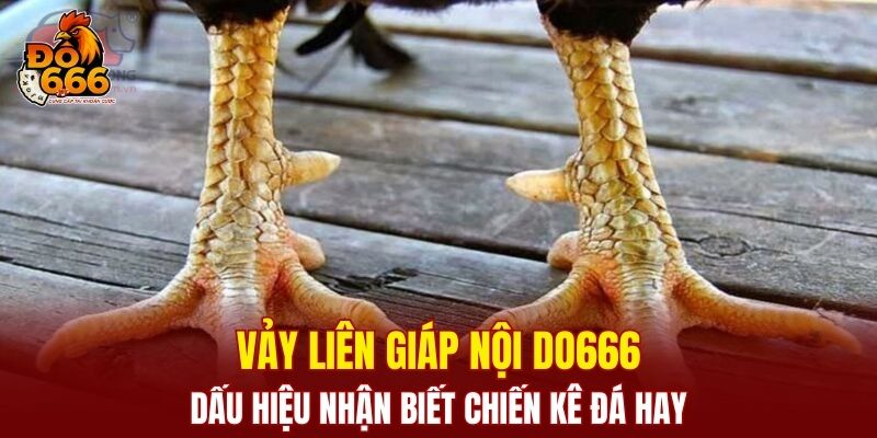 Vảy Liên Giáp Nội