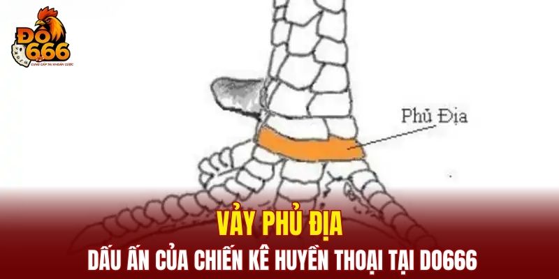 Vảy Phủ Địa