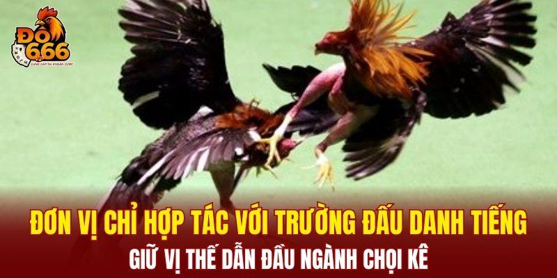 Đá gà DO666 hợp tác với trường đấu danh tiếng