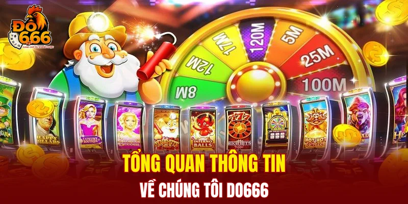 Tổng quan thông tin về chúng tôi DO666